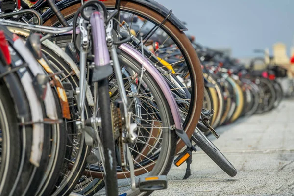Hollandiában Sok Parkoló Kerékpár Egy Szabadtéri Kerékpárparkolóban Amsterdam Central Station Jogdíjmentes Stock Fotók
