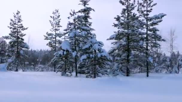 Hay Mucha Nieve Finlandia Polar Día Desagradable Vista Desde Ventana — Vídeos de Stock