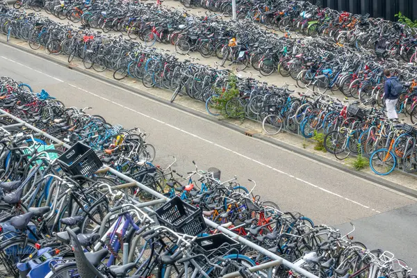 네덜란드 암스테르담 중앙역 자전거 주차장에 자전거의 거대한 스톡 이미지