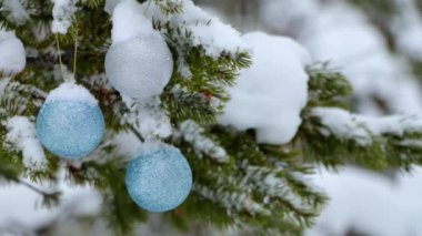 Kış ormanı Üç Noel topu karla kaplı bir ladin dalına asılmış. Hafif kar yağışı