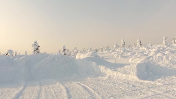 Zimowy Dzień Fińskiej Laponii Dużo Śniegu Rzadkie Karły Drogi Panorama — Wideo stockowe