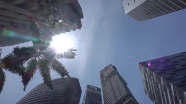 Singapur 'da mavi gökyüzü ve güneş. Yeşil palmiye ağaçları ve gökdelenlerin tepeleri