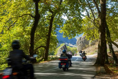Yunanistan. Ağaçların gölgesinde güneşli bir yaz günü. Virajlı bir yolda bir grup motosikletli turist