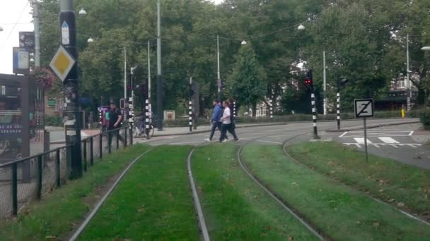 Holandia Amsterdam Września 2021 Dzień Widok Jadącego Tramwaju Zielonego Parku — Wideo stockowe