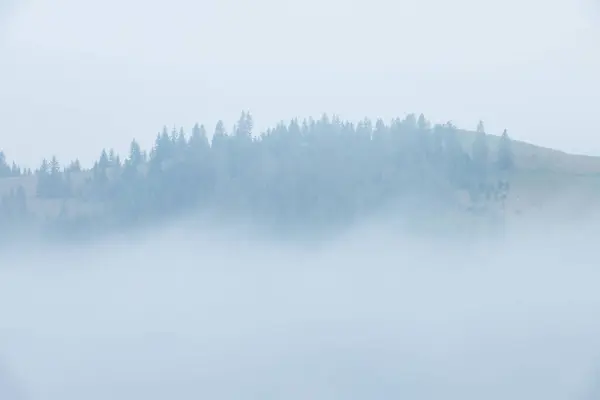 Sommer Den Ukrainischen Karpaten Dichter Nebel Und Bewaldeter Hügel lizenzfreie Stockbilder