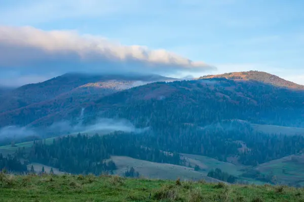 Yazın Sabahları Ukraynalı Karpatlar Güneş Dağların Tepelerini Aydınlatır Ormanda Hafif Telifsiz Stok Imajlar