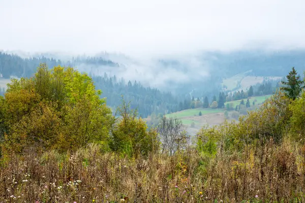 Zomer Oekraïense Karpaten Dikke Mist Bedekt Hemel Bergtoppen Weiden Bossen Stockafbeelding