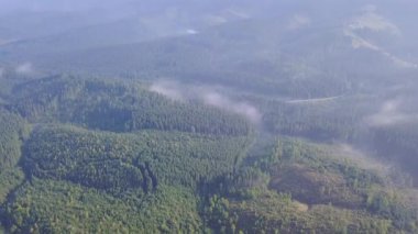 Ukrayna Karpatlarında yaz mevsimi. Bir dron, ağaçlık dağlar arasındaki sisli bir sabah vadisinde uçuyor. Hava görünümü