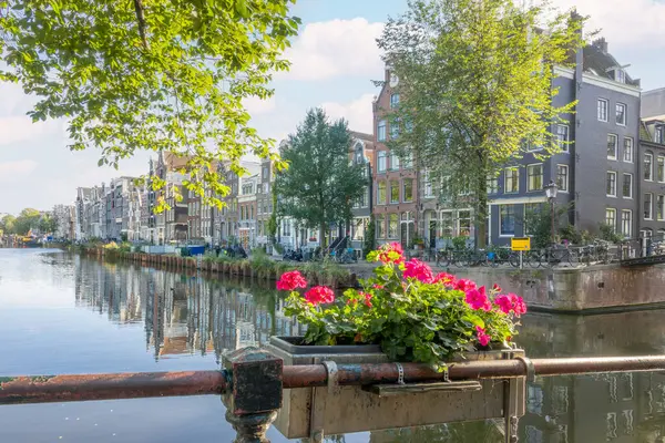 阿姆斯特丹运河的阳光灿烂的一天 典型的荷兰建筑在海滨 灿烂的花朵在前景中 图库照片