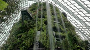 Singapur 'daki Çiçek Kubbesi. Tropikal bitki örtüsüyle çevrili insan yapımı bir şelale. Yavaş çekim