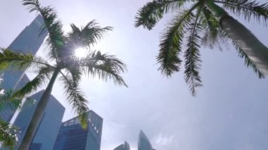 Singapur. Güneşli bir günde Marina Körfezi gezinti güvertesi. Tepeden tırnağa panoramik video. Şehir merkezindeki palmiye yaprakları ve gökdelenler boyunca güneş ışınları yayılıyor.