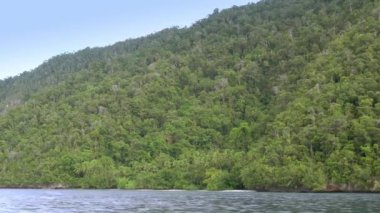 Endonezya 'da. Kamera, dağlık bir tropik sahil boyunca deniz boyunca hızla yelken açan bir teknededir. Bereketli orman bitkisi