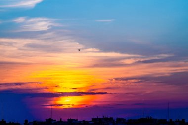 Şehrin çatılarında bulutlu bir gökyüzü. Kuş gün batımında binaların siluetlerinin üzerinden uçar.