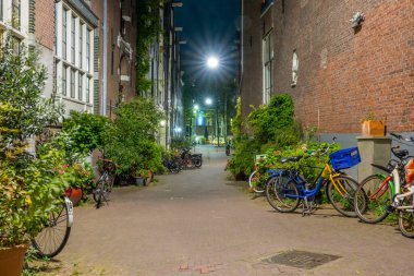 Hollanda 'da. Amsterdam 'da yaz gecesi. Yeşil çalıları ve çiçekleri olan küçük yaya geçidi. Birkaç bisiklet park edilmiş.