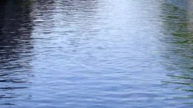 Sakin bir su kütlesinin yüzeyi. Video arkaplanı