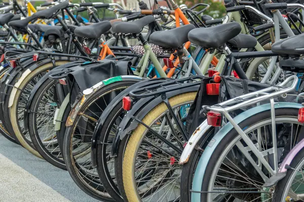Hollanda 'da. Amsterdam 'da bisiklet parkında peş peşe birkaç bisiklet.