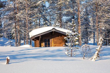 Kış Finlandiya. Karlı bir ormanda güneşli bir gün. Küçük bir kulübenin çatısında çok kar var.