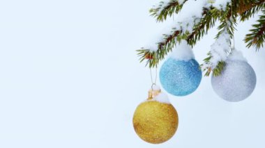 Yeşil ladin dalında Noel Baloları
