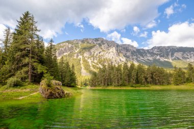 Avusturya yazı. Orman dağlarının arasında küçük bir göl. Güneşli gün ve kümülüs bulutları