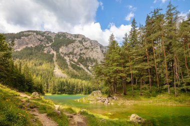 Avusturya yazı. Ağaçlık dağların arasında küçük bir gölün kıyısında yürüyüş patikası. Güneşli gün ve kümülüs bulutları