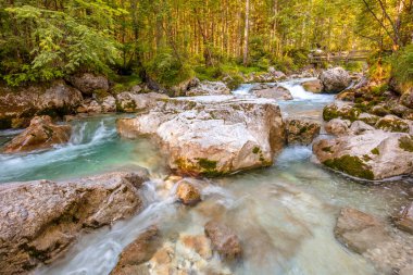 Güneşli bir yaz gününde orman nehri. Büyük kayalar arasında su kaynıyor.