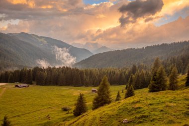 Sıcak akşam ışığı, çam ağaçlarıyla kaplı tepelerin katmanlarını ve aşağıdaki vadiden yükselen sisli, huzurlu bir dağlık çayırı aydınlatır. Yumuşak bulutlar ve altın tonlarla sakin bir dağ manzarası