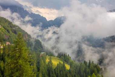 Yoğun sis, yumuşak sabah ışığı altında kısmen yeşil çayırları ve yemyeşil ormanı ortaya çıkaran derin bir Alp Vadisi 'nden akar. Gizemli ve huzurlu bir dağ manzarası