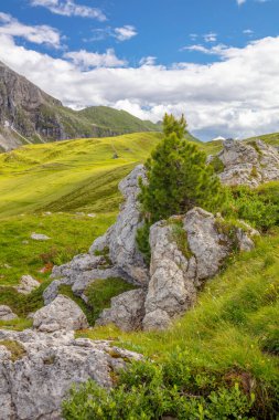Avusturya Alplerinde güneşli bir yaz günü. Kayalık tepelerde bulutlar. Dağ tepesi vadisi ve çam ağacı yeşil çimlerle çevrili bir kayanın üzerinde