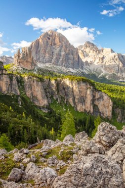 Avusturya Alplerinde güneşli bir yaz günü. Kayalık tepelerde bulutlar. Küçük bir vadide taş sırtı ve yeşil orman