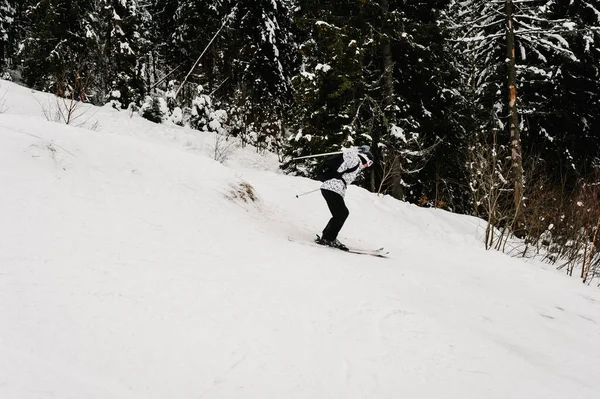 Skifahren Extremer Wintersport Skispringer Freeride Skifahren Gutes Skifahren Den Schneebedeckten — Stockfoto