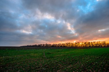 Tarlanın üzerinde güzel bir gün batımı