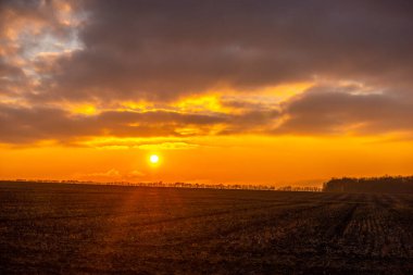 Landscape of Ukraine. Day and Night . Sunrise in forest . Village house .