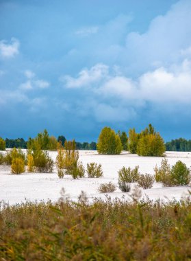 Arkasında bir göl olan güzel bir manzara.
