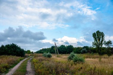 Ağacı ve bulutlu gökyüzü olan güzel bir manzara.