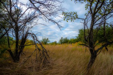 Doğanın güzel manzarası