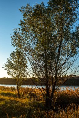 Güzel göl manzarası