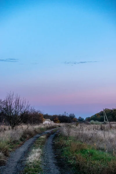 Wunderschöne Landschaft Mit Einem Feld Von Bäumen Und Blauem Himmel — Stockfoto