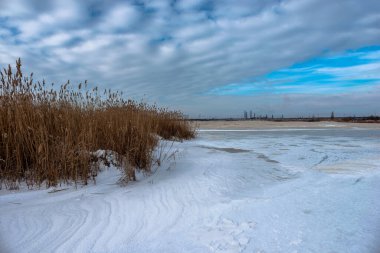 Karlı ve ağaçlı güzel bir manzara.