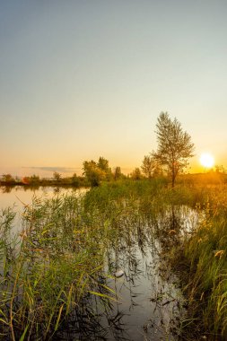 Gölün üzerinde güzel bir gün batımı
