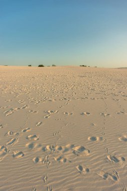 Çöldeki kum tepeleri