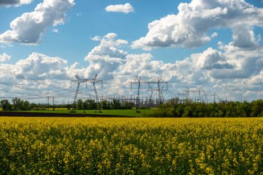 Mavi gökyüzü tecavüz sahası