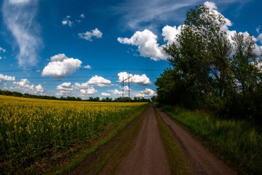 Kırsalda yolu olan güzel bir manzara.