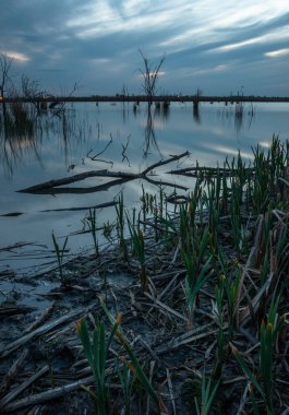 Arkasında bir göl olan güzel bir manzara.