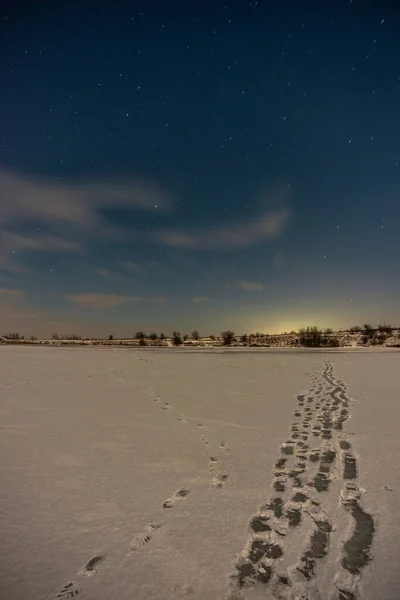Yıldızlı Karlı Gece Göğü — Stok fotoğraf