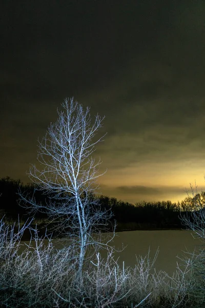 Karlı Kış Manzarası — Stok fotoğraf