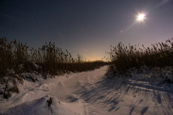 雪と星と冬の風景 — ストック写真
