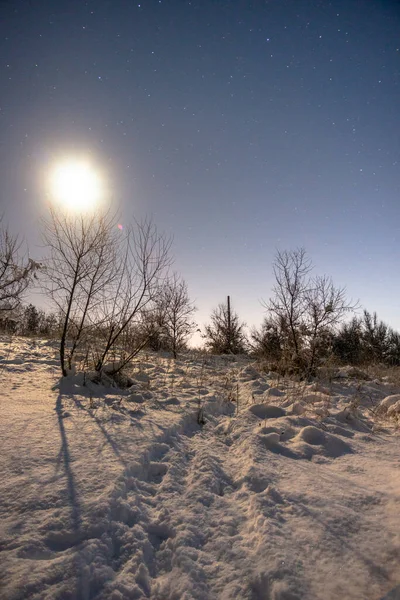 森も雪のある冬景色 — ストック写真