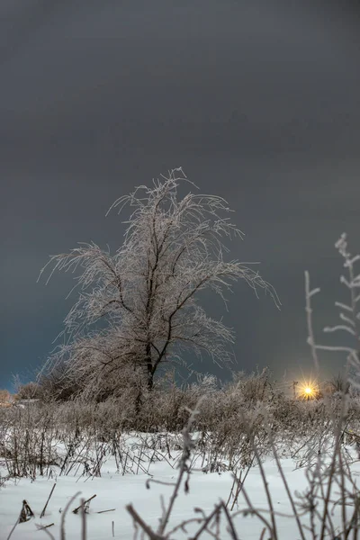 Зимний Пейзаж Заснеженными Деревьями — стоковое фото