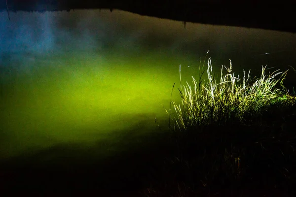 Schönes Grünes Gras Mit Tautropfen — Stockfoto