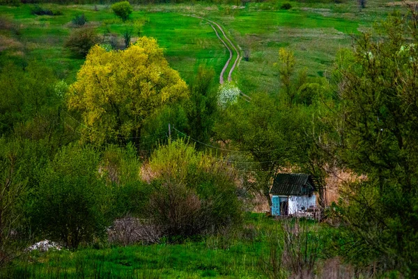 Ormandaki Köyün Havadan Görünüşü — Stok fotoğraf